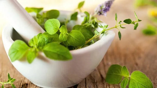 Hair Growth Products: The Ultimate Guide to Revitalizing Your Hair