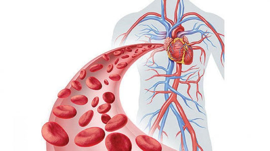 Arginine
