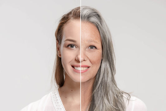 Unlocking the Secrets of Aging with Telotestâ„¢