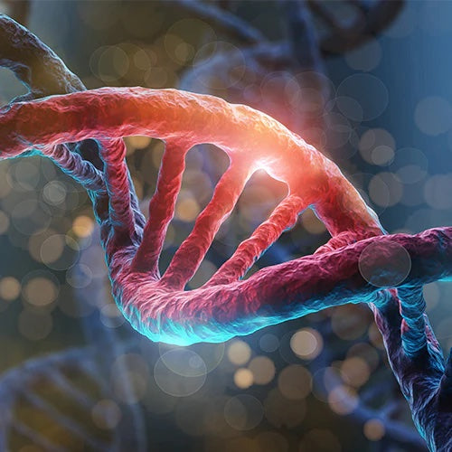 Mediluxe Medical Supplies | Online