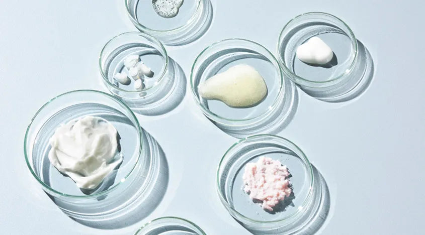 5 Skin Care Ingredients for your Beauty Routine