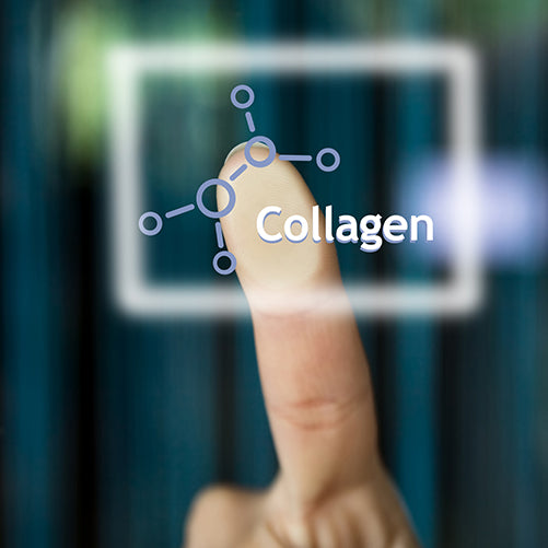 Biologically Active Collagen Extraction Processing