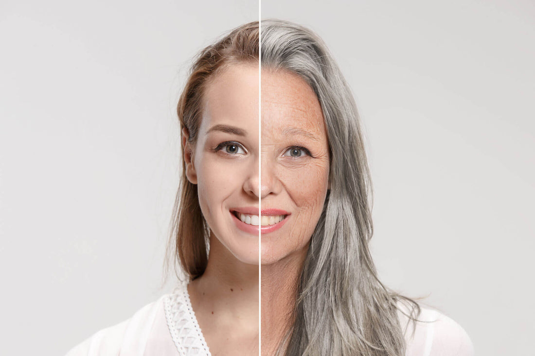 Unlocking the Secrets of Aging with Telotest™