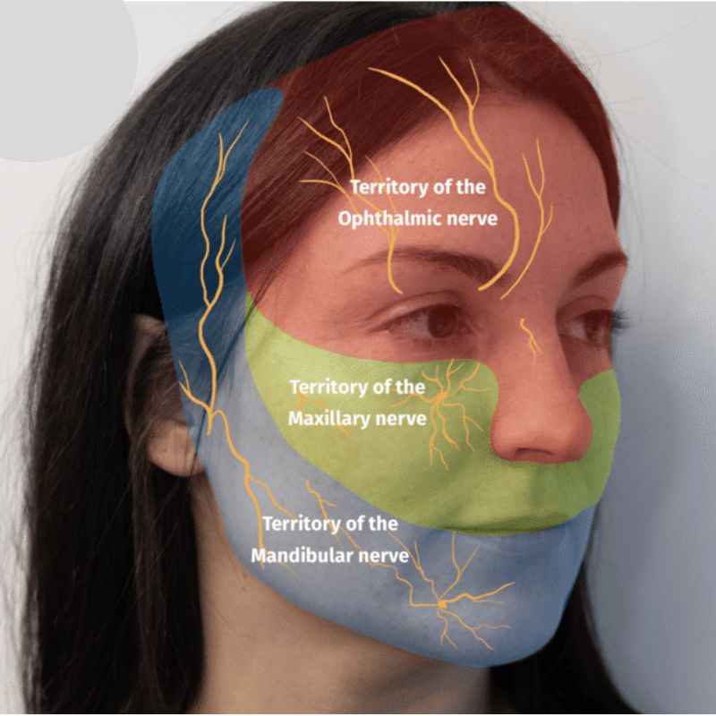 Adverse reactions related to dermal fillers and DNA